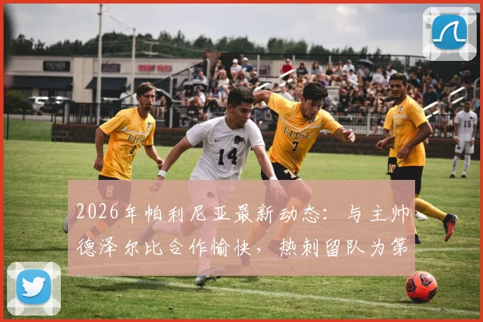 2026年帕利尼亚最新动态：与主帅德泽尔比合作愉快，热刺留队为第一目标，罗马诺独家消息解读